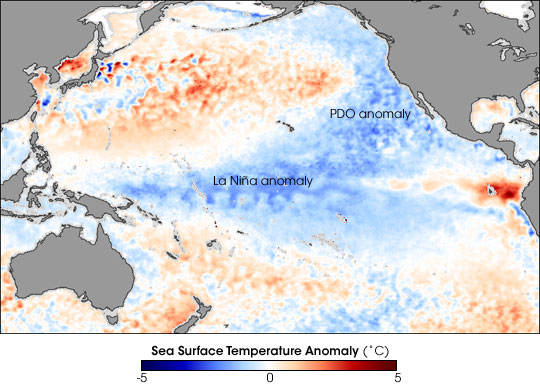 La Nina and Pacific Decadal Oscillation Cool the Pacific 