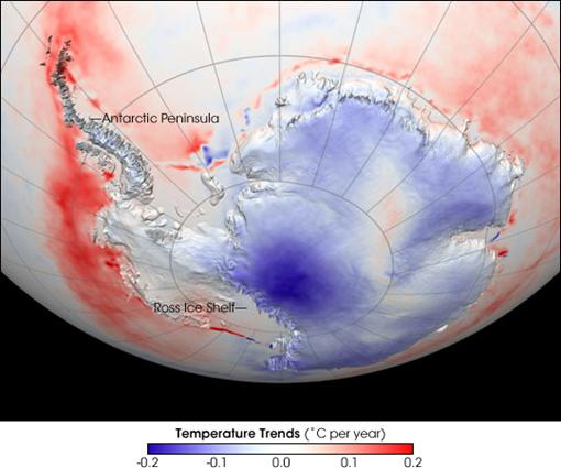 Antarctic Temperature Trend 1982-2004